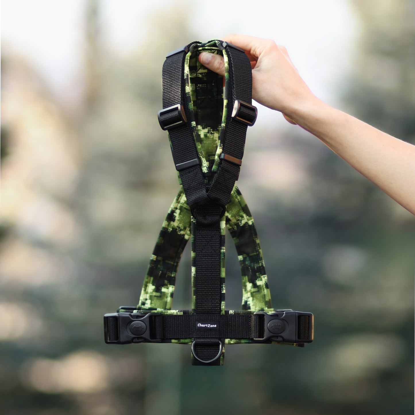 Greyhound Harness "Forest Moss"