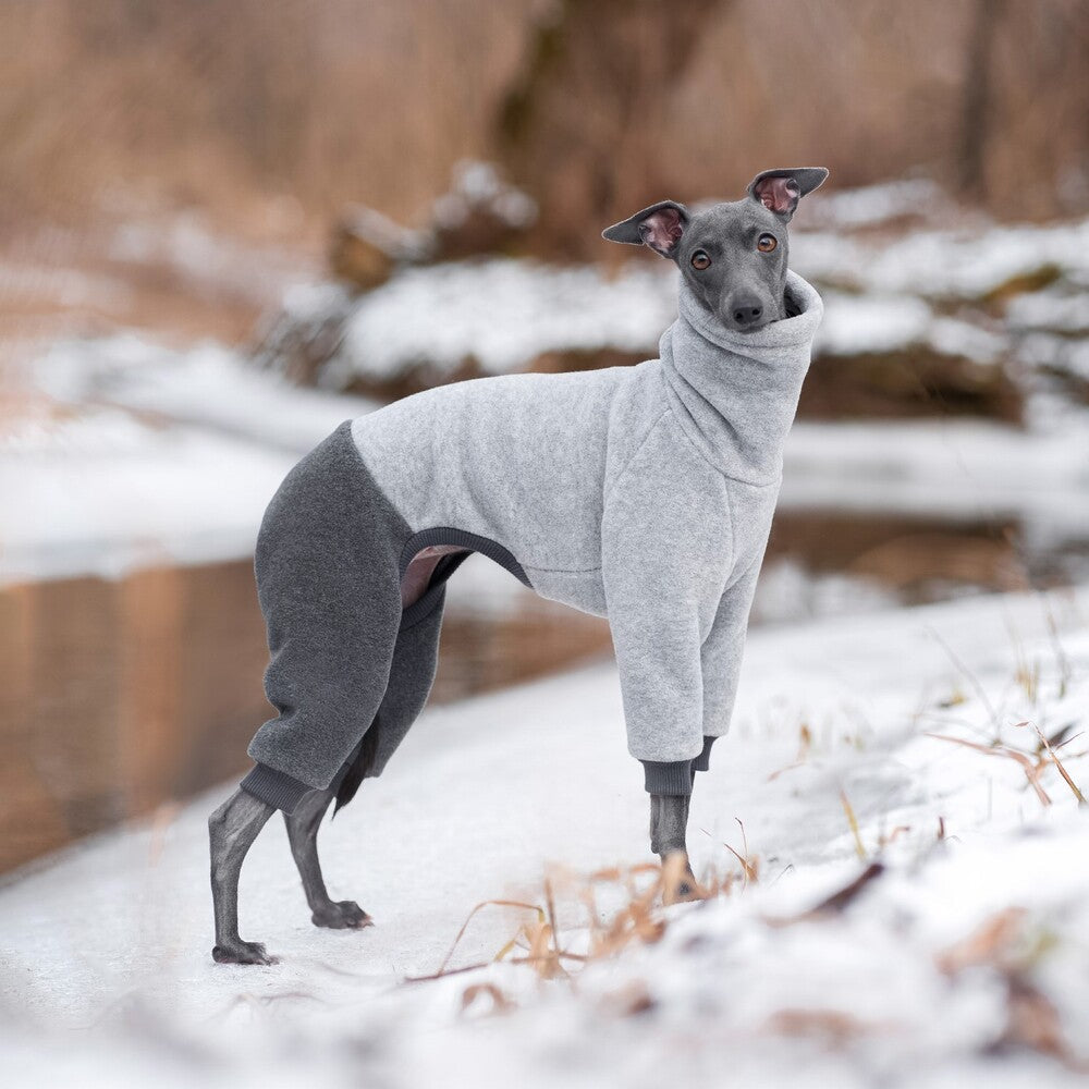 Ubranko dla charcika włoskiego | whippeta - kombinezon premium | Italian Greyhounds clothes | oblečenie pre talianskeho chrtíka | oblečení pro italského chrtíka