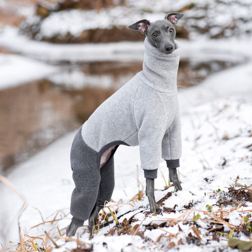 Ubranko dla charcika włoskiego | whippeta - kombinezon premium | Italian Greyhounds clothes | oblečenie pre talianskeho chrtíka | oblečení pro italského chrtíka