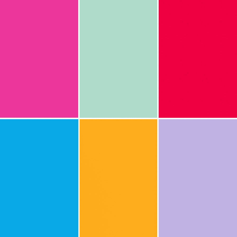 Sweatshirt vest for a large greyhound