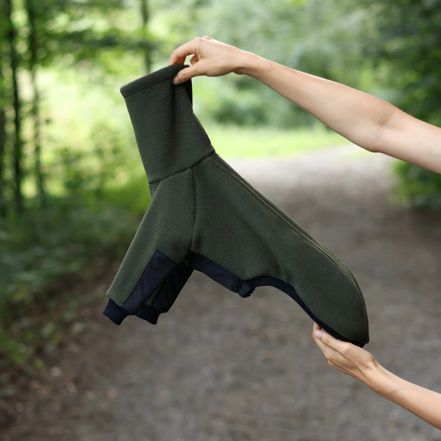 Italian Greyhound Clothing – AquaGuard Sewater