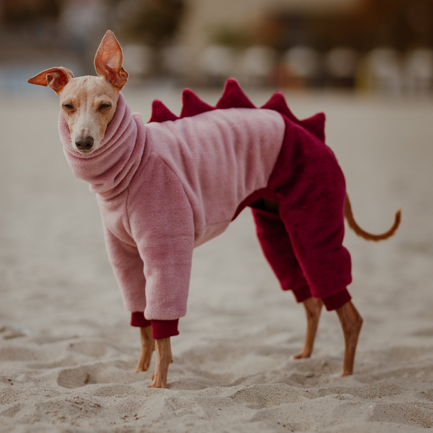 Jumpsuit for Whippes - Minky