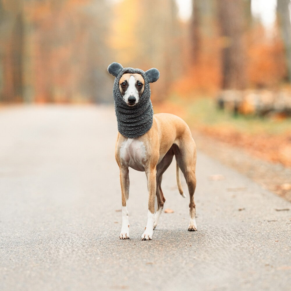 Snoody dla whippetów wykonane z miękkiego baranka Boucle to idealny wybór na zimowe spacery.