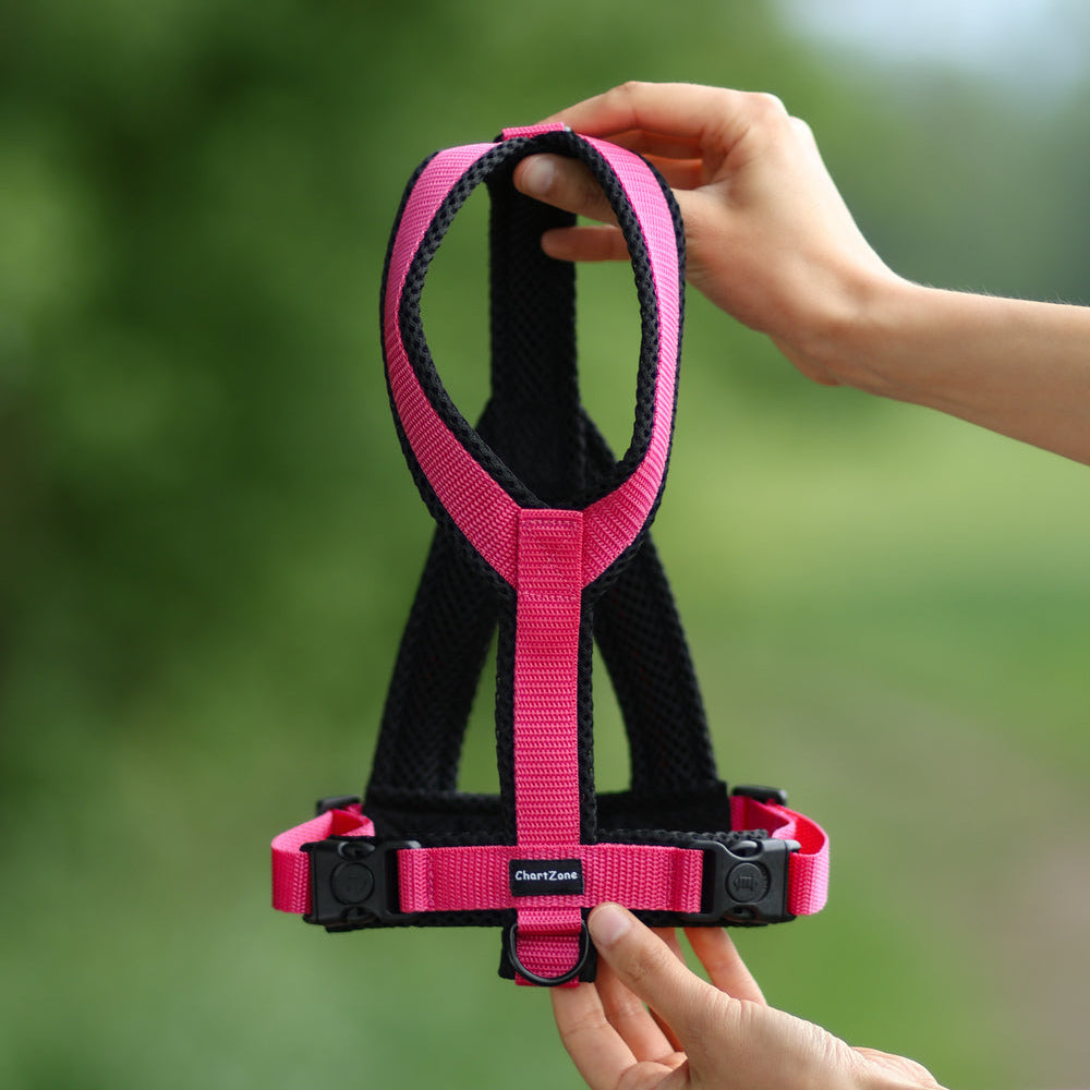 Harness for Italian Greyhound – Comfort Mesh L
