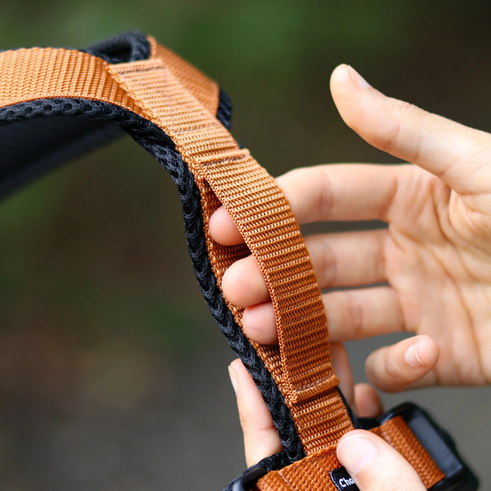 Greyhound Harness - Comfort Mesh XXL