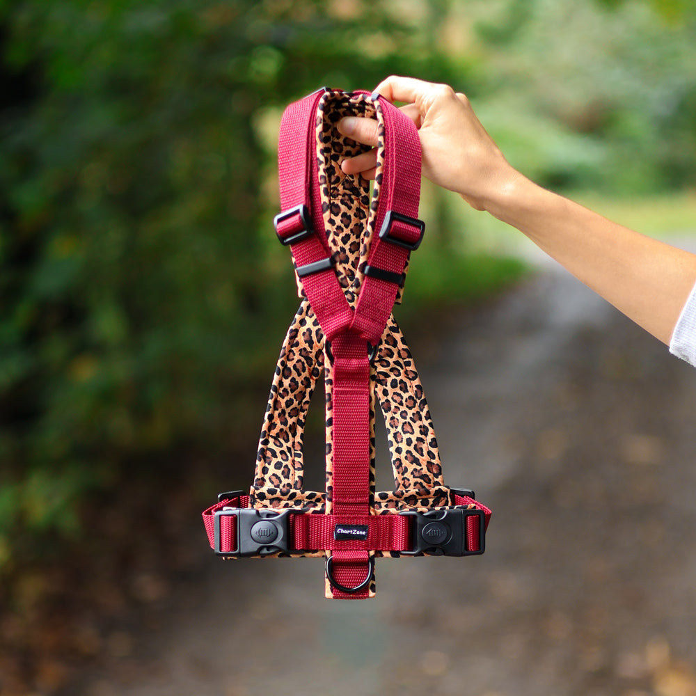 Szelki w kształcie litery Y dla charta, anatomiczne, zapewniające pełen zakres ruchu łopatek.