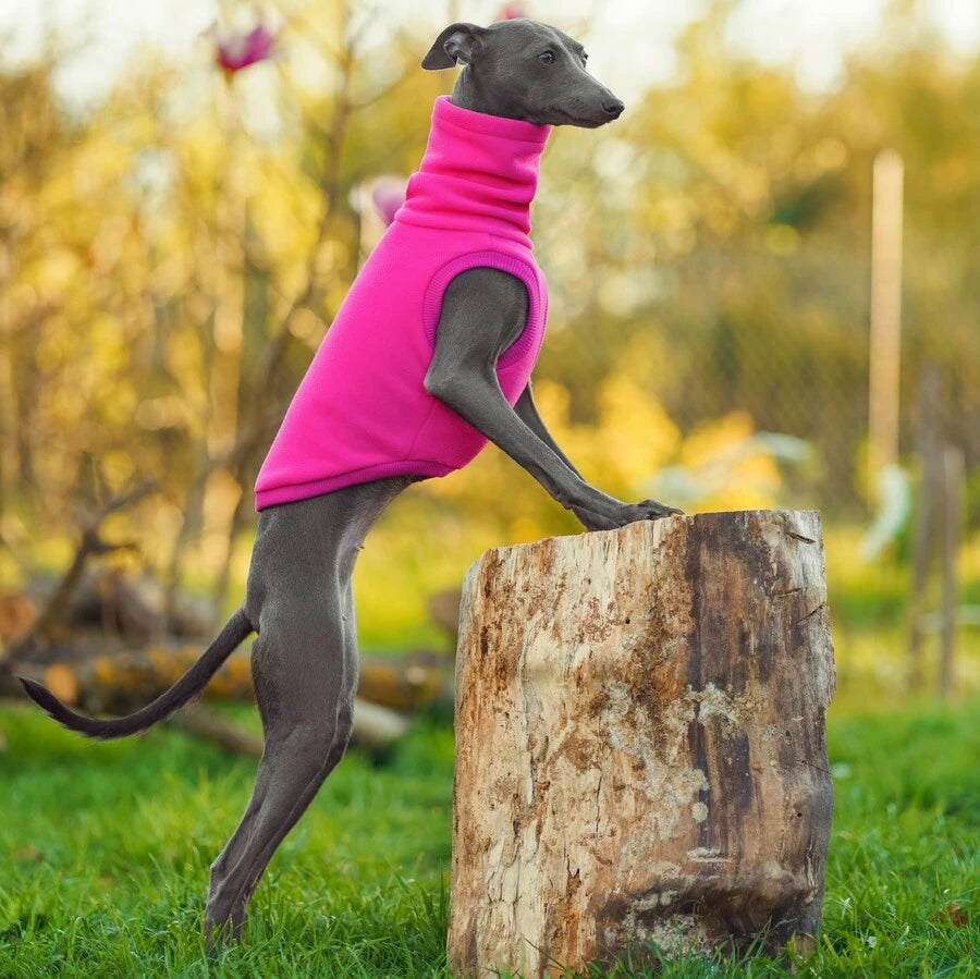 Bezrękawnik dla charcika włoskiego/whipetta. Italian Greyhound Vest | oblečenie pre talianskeho chrtíka | oblečení pro italského chrtíka