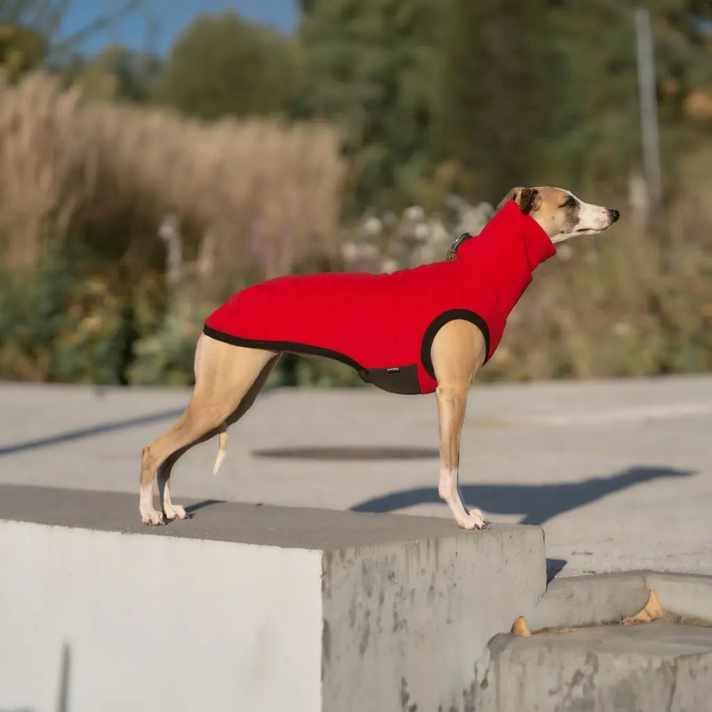 Bezrękawnik dla charta angielskiego z grubego polaru, z wodoodpornymi wstawkami na brzuchu i otworem na smycz w kołnierzu; zapewnia izolację termiczną, ochronę przed wilgocią i swobodę ruchów podczas spacerów.