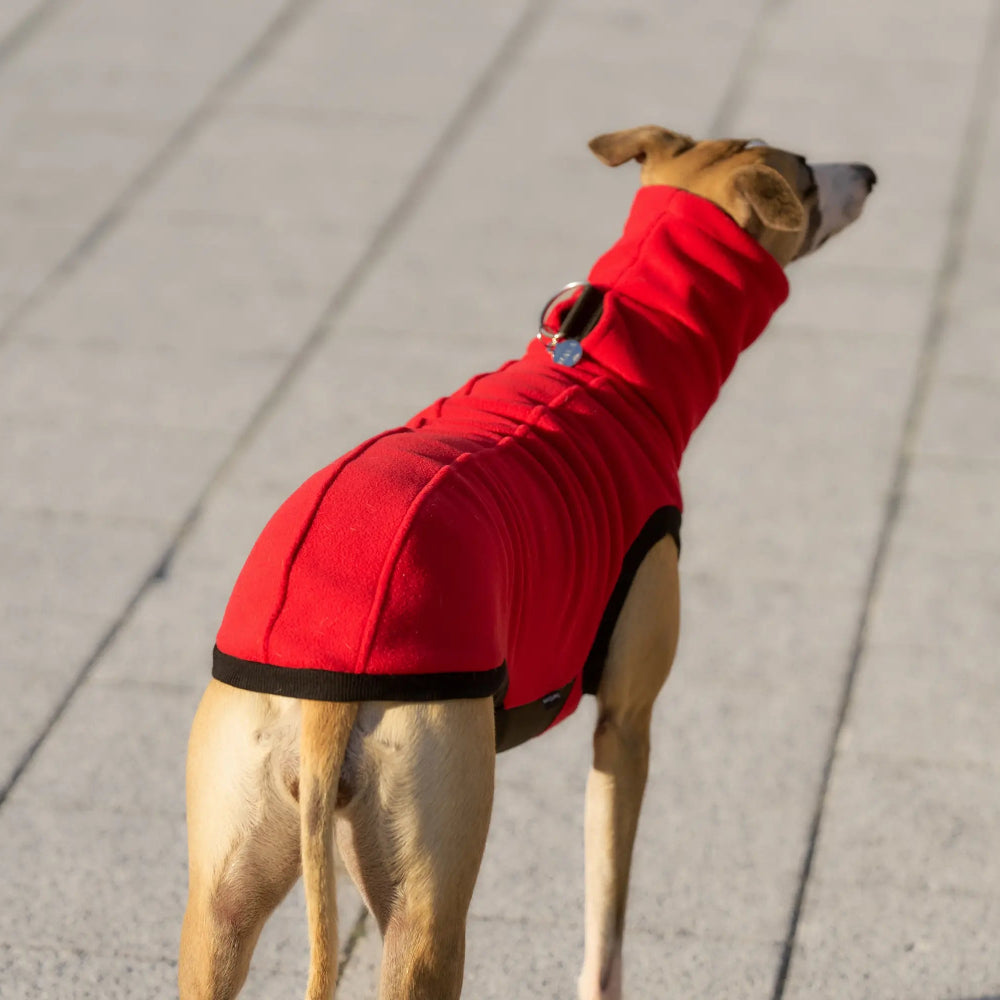 Bezrękawnik dla charta angielskiego z grubego polaru, z wodoodpornymi wstawkami na brzuchu i otworem na smycz w kołnierzu; zapewnia izolację termiczną, ochronę przed wilgocią i swobodę ruchów podczas spacerów.