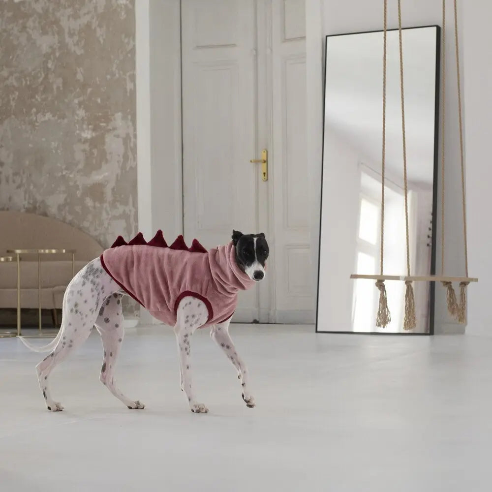 Ubranka dla Whippeta / Whippet clothes