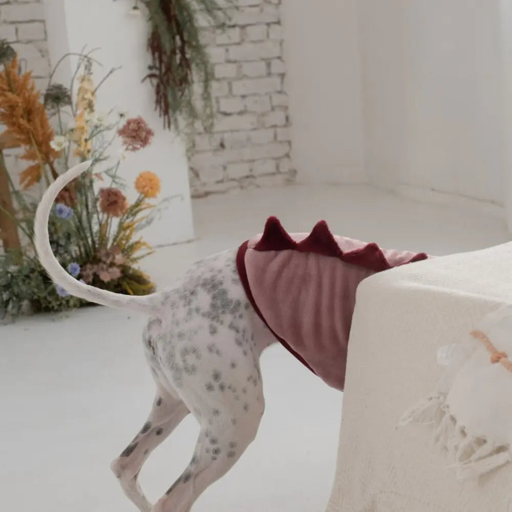 Bezrękawnik dla Whippeta / Whippet Vest
