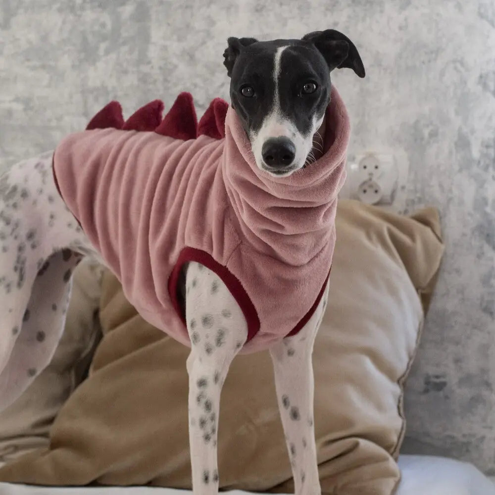Ubranka dla Whippeta / Whippet clothes