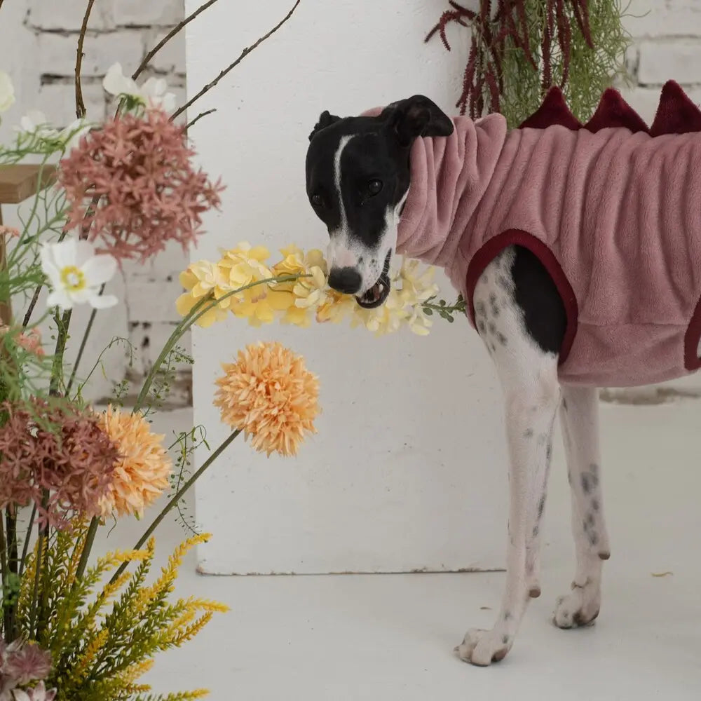Ubranka dla Whippeta / Whippet Vest