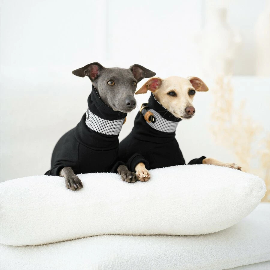 ubranko dla charcika włoskiego/ whippeta. Italian Greyhound clothes | oblečenie pre talianskeho chrtíka | oblečení pro italského chrtíka