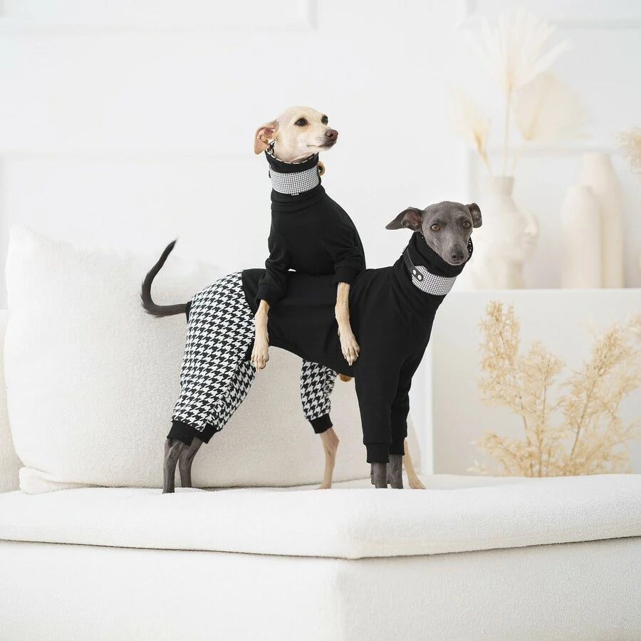 ubranko dla charcika włoskiego/ whippeta. Italian Greyhound clothes | oblečenie pre talianskeho chrtíka | oblečení pro italského chrtíka