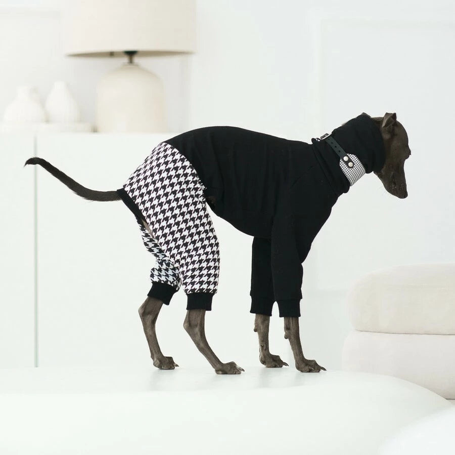 ubranko dla charcika włoskiego/ whippeta. Italian Greyhound clothes | oblečenie pre talianskeho chrtíka | oblečení pro italského chrtíka