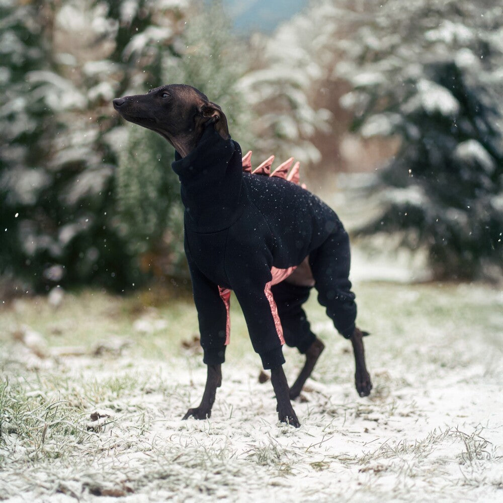 Kombinezon dla charcika włoskiego z miękkiej dresówki drapanej z wodoodpornymi wstawkami na brzuszku i przednich łapkach, idealny dla samczyków; z otworem na smycz w kołnierzu.