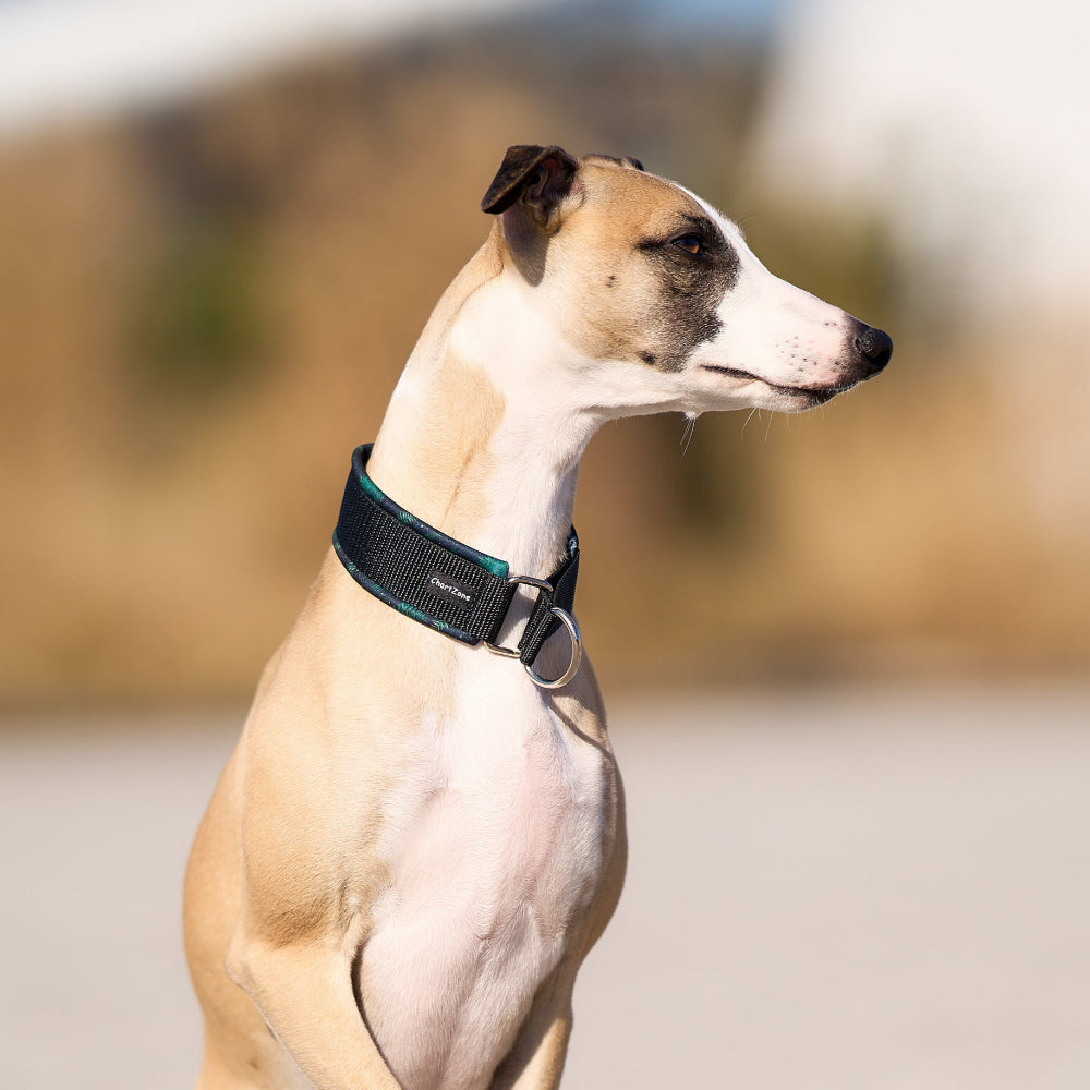 „Obroża półzaciskowa dla charta/obroża półzaciskowa dla whippeta/obroża półzaciskowa dla charcika włoskiego/obroża softshellowa/obroża dla psa o wrażliwej skórze/obroża komfortowa/obroża trwała/obroża odporna na wilgoć”
„Semi-slip collar for Greyhounds/semi-slip collar for Whippets/semi-slip collar for Italian Greyhounds/softshell collar/collar for dogs with sensitive skin/comfortable collar/durable collar/moisture-resistant collar”
„Halstrickhalsband für Windhunde/halstrickhalsband für Whippets/halstrick