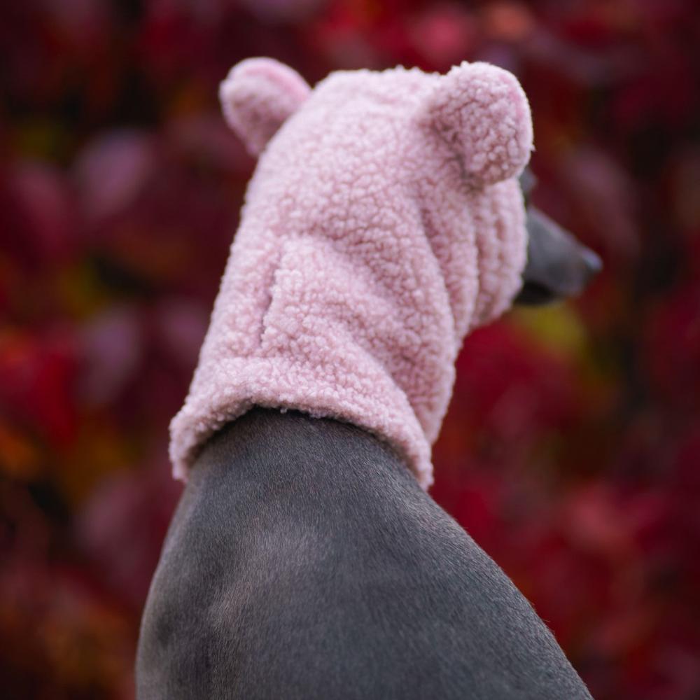 Snood dla charcika włoskiego z miękkiego baranka Boucle, zapewniający izolację termiczną i hydrofobowość, z otworem na smycz. / Snood for Italian Greyhounds made from soft Boucle fleece, offering thermal insulation and water resistance, with a leash opening.