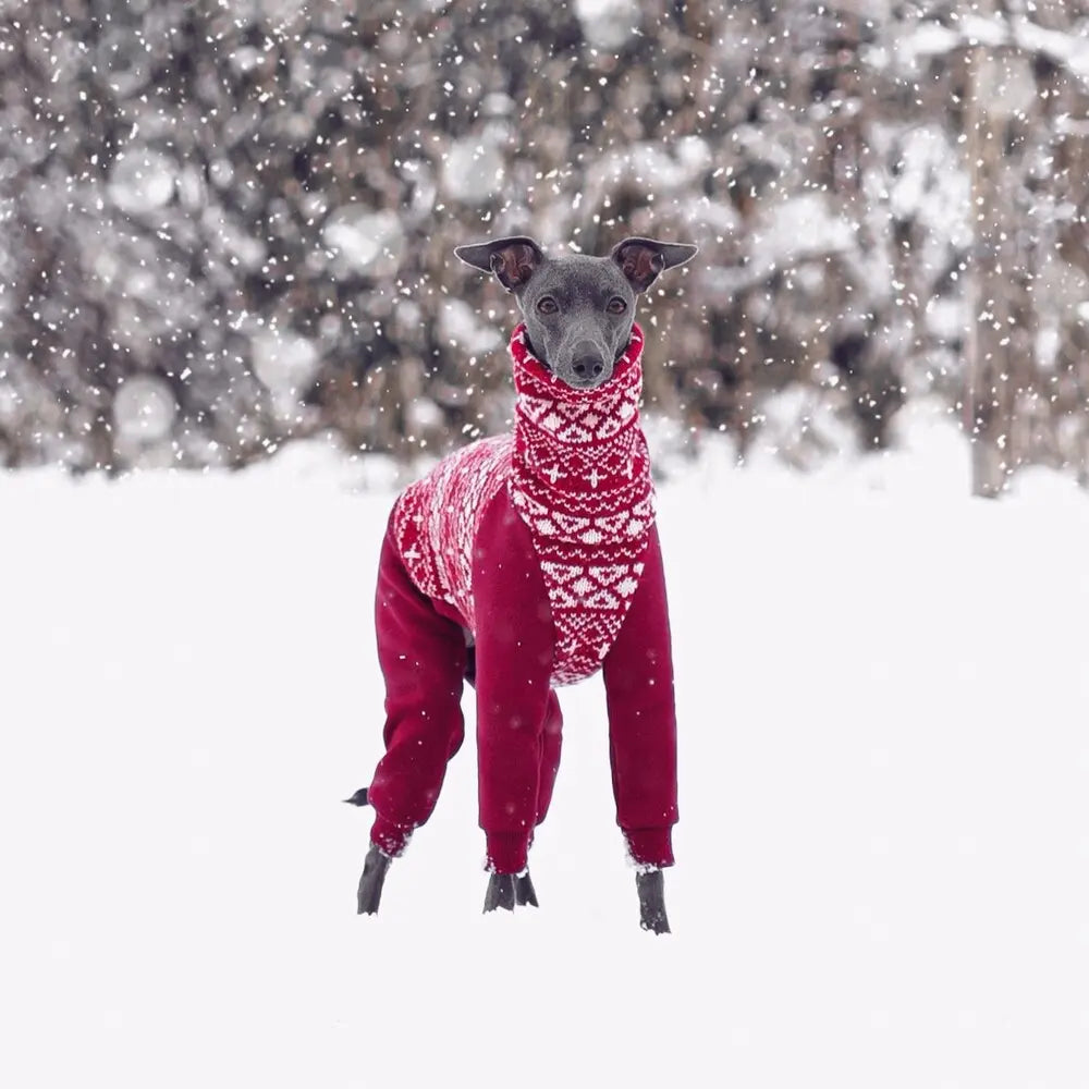 Italian Greyhound Christmas Jumpsuit Retro ChartZone