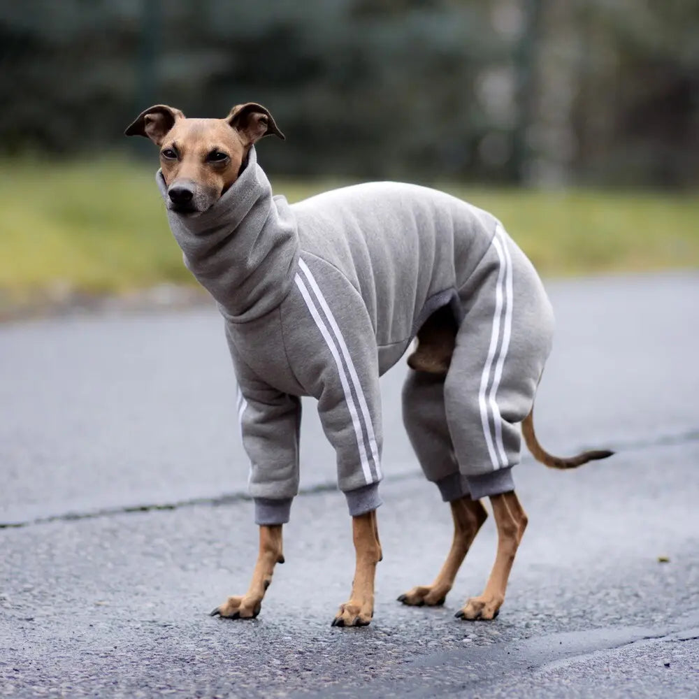 Greyhound sweaters deals