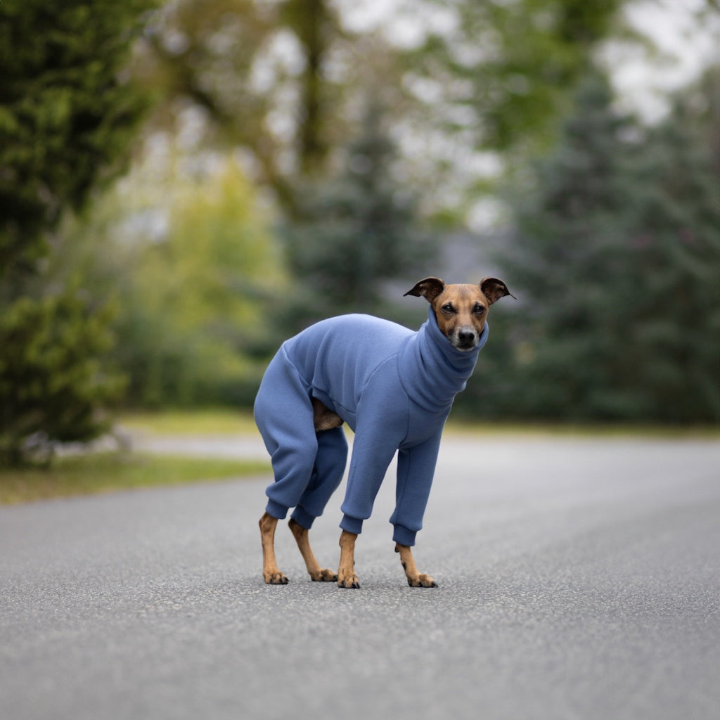 Ubranko dla charcika włoskiego | whippeta - kombinezon basic | Italian Greyhounds clothes | oblečenie pre talianskeho chrtíka | oblečení pro italského chrtíka