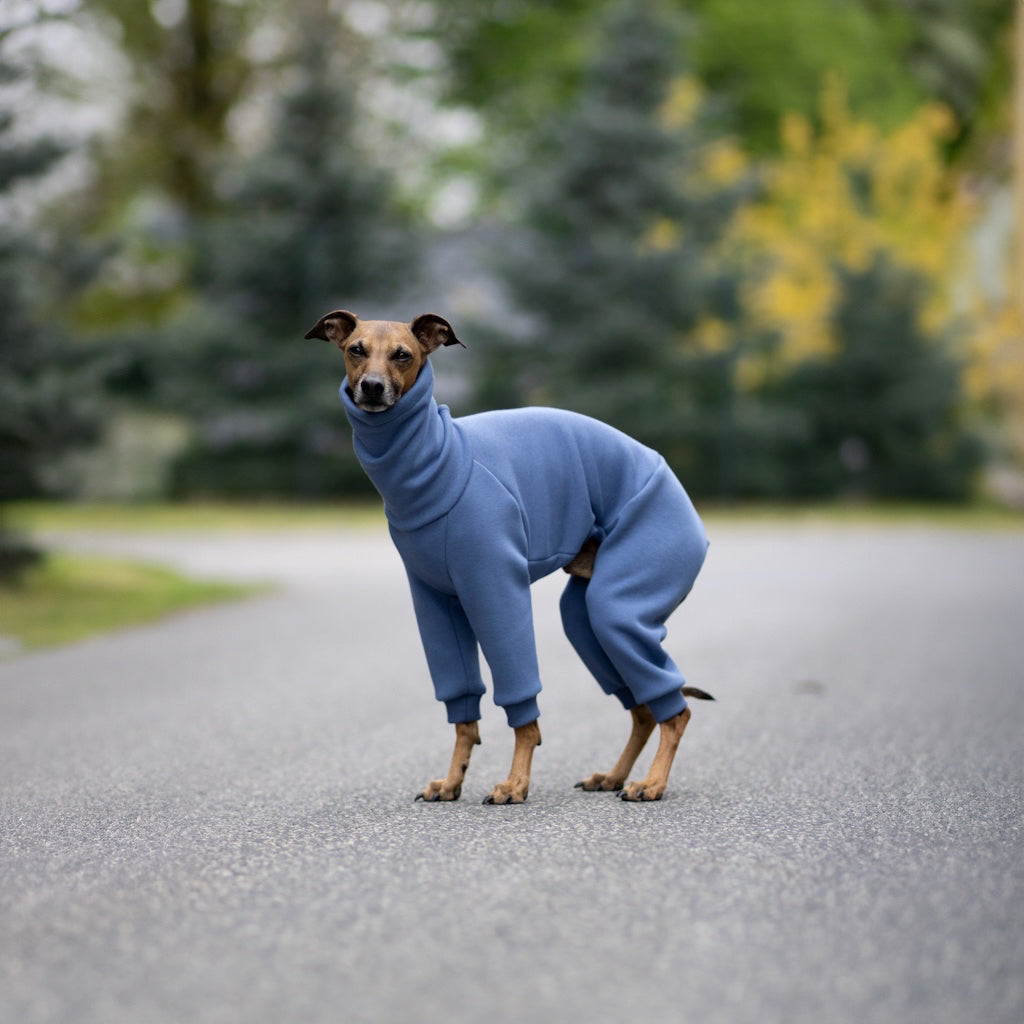 Ubranko dla charcika włoskiego | whippeta - kombinezon basic | Italian Greyhounds clothes | oblečenie pre talianskeho chrtíka | oblečení pro italského chrtíka