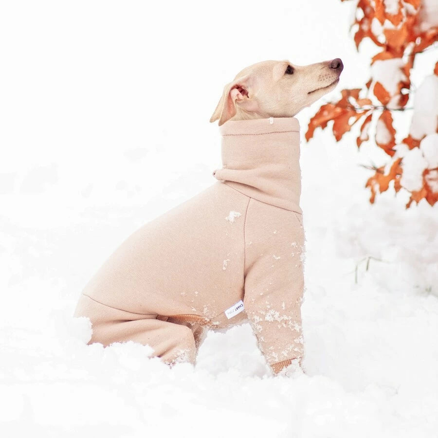 Ubranko dla charcika włoskiego | whippeta - kombinezon basic | Italian Greyhounds clothes | oblečenie pre talianskeho chrtíka | oblečení pro italského chrtíka