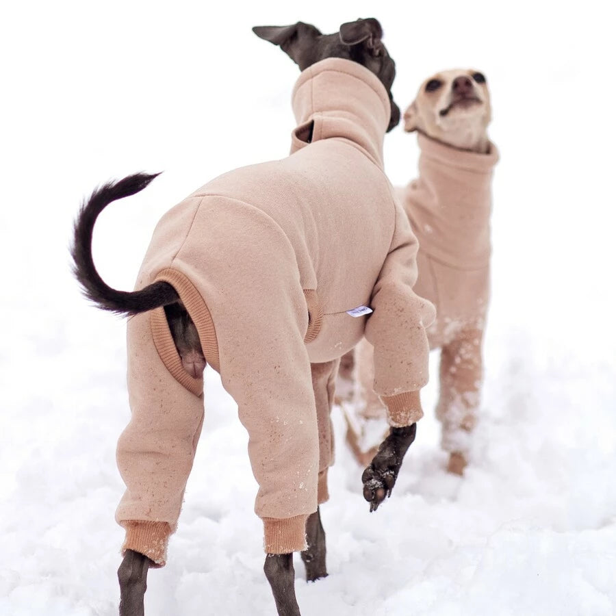 Ubranko dla charcika włoskiego | whippeta - kombinezon basic | Italian Greyhounds clothes | oblečenie pre talianskeho chrtíka | oblečení pro italského chrtíka