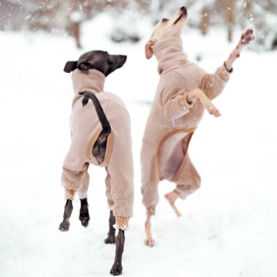 Ubranko dla charcika włoskiego | whippeta - kombinezon basic | Italian Greyhounds clothes | oblečenie pre talianskeho chrtíka | oblečení pro italského chrtíka