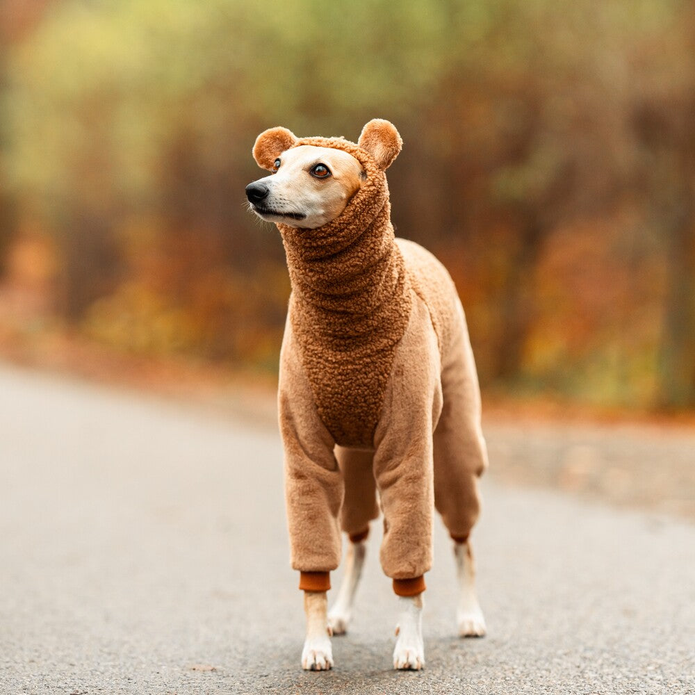 Ubranko dla whipetów uszyty z ciepłego dwuwarstwowego baranka. Whippet clothes.
