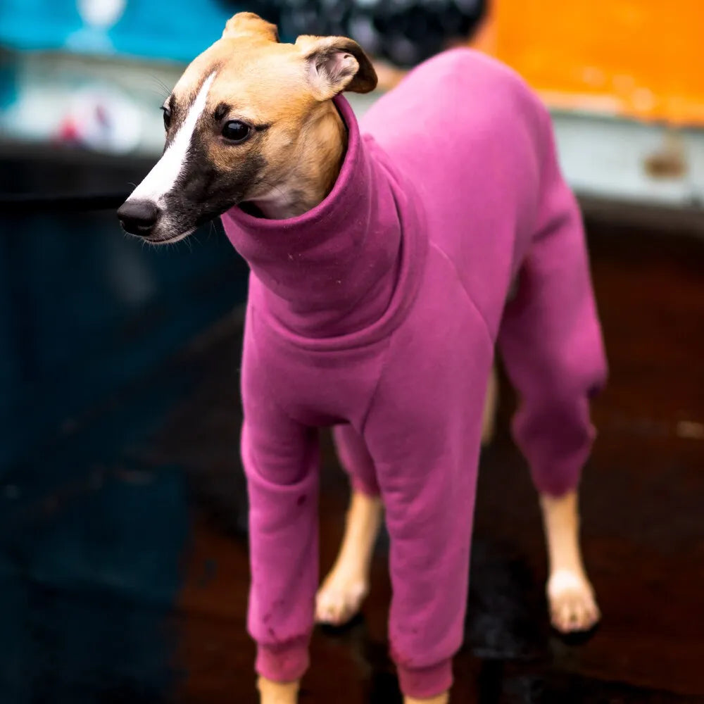 Whippet Jumpsuit - Basic