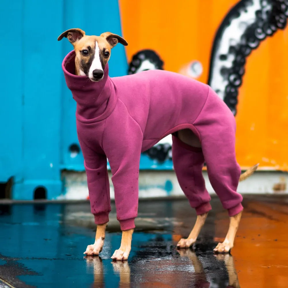 Whippet Jumpsuit - Basic