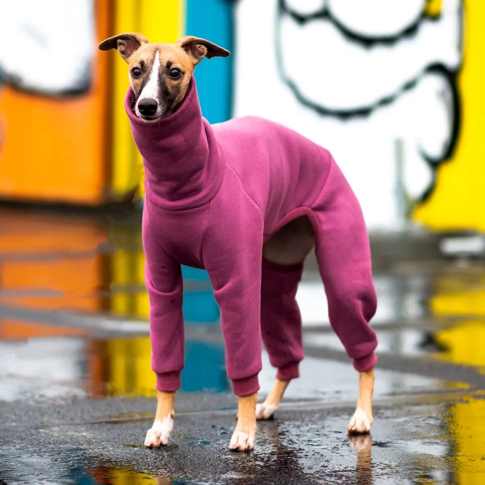 Whippet Jumpsuit - Basic