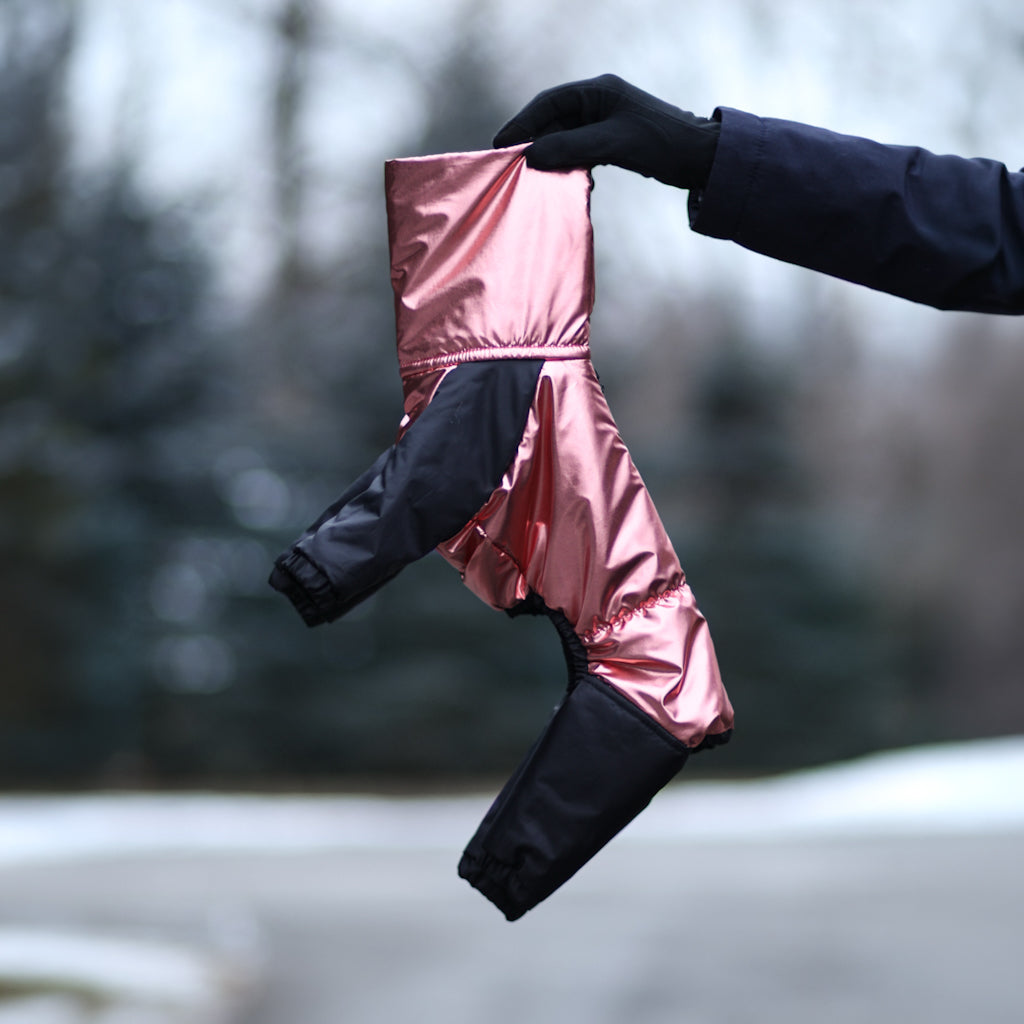 Schneeoverall für einen Whippet – Minky Futter