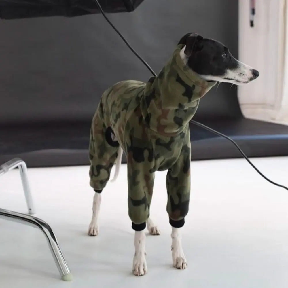 Kombinezon dla charcika włoskiego / Italian Greyhound clothes