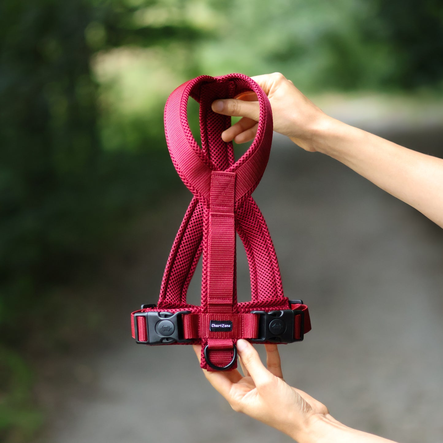 Windhundgeschirr - Comfort Mesh W2