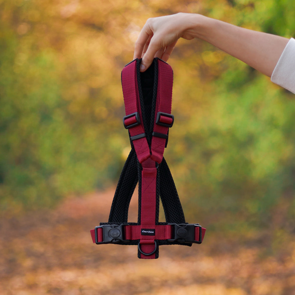 Szelki dla Charta - Różne kolory