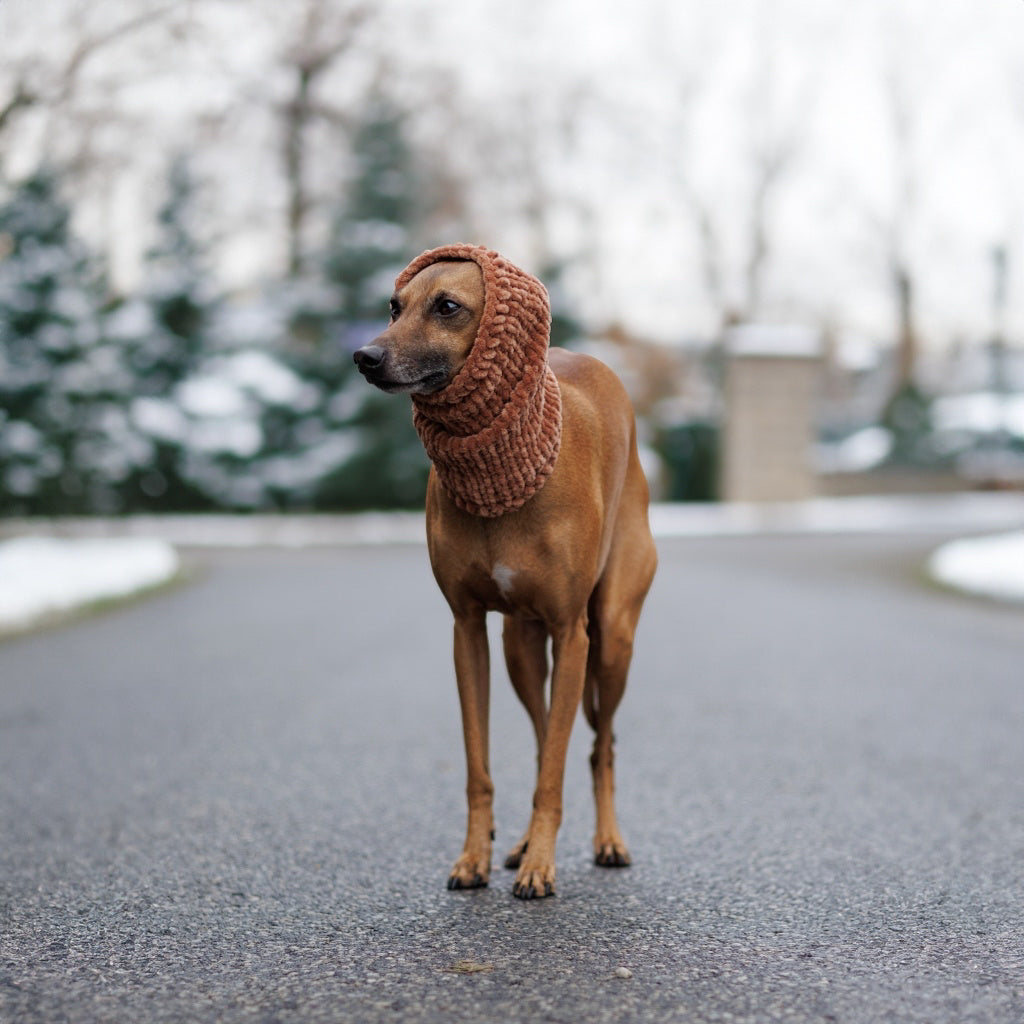 Snood for Italian Greyhound - Velvet