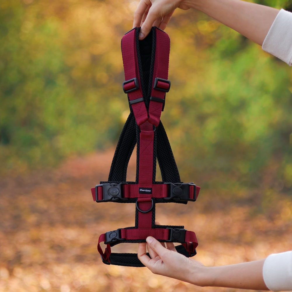 Antyucieczkowe Szelki dla Charta - Różne kolory