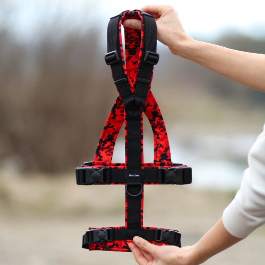 Antyucieczkowe Szelki dla Charta "Red Camo"