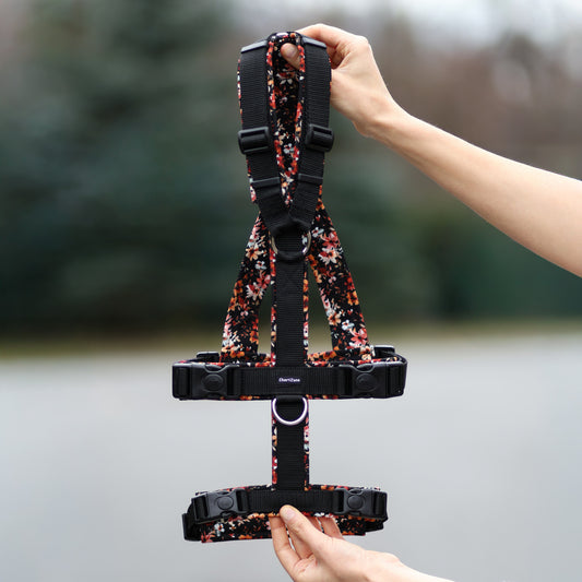 Antyucieczkowe Szelki dla Charta "Amber Flowers"