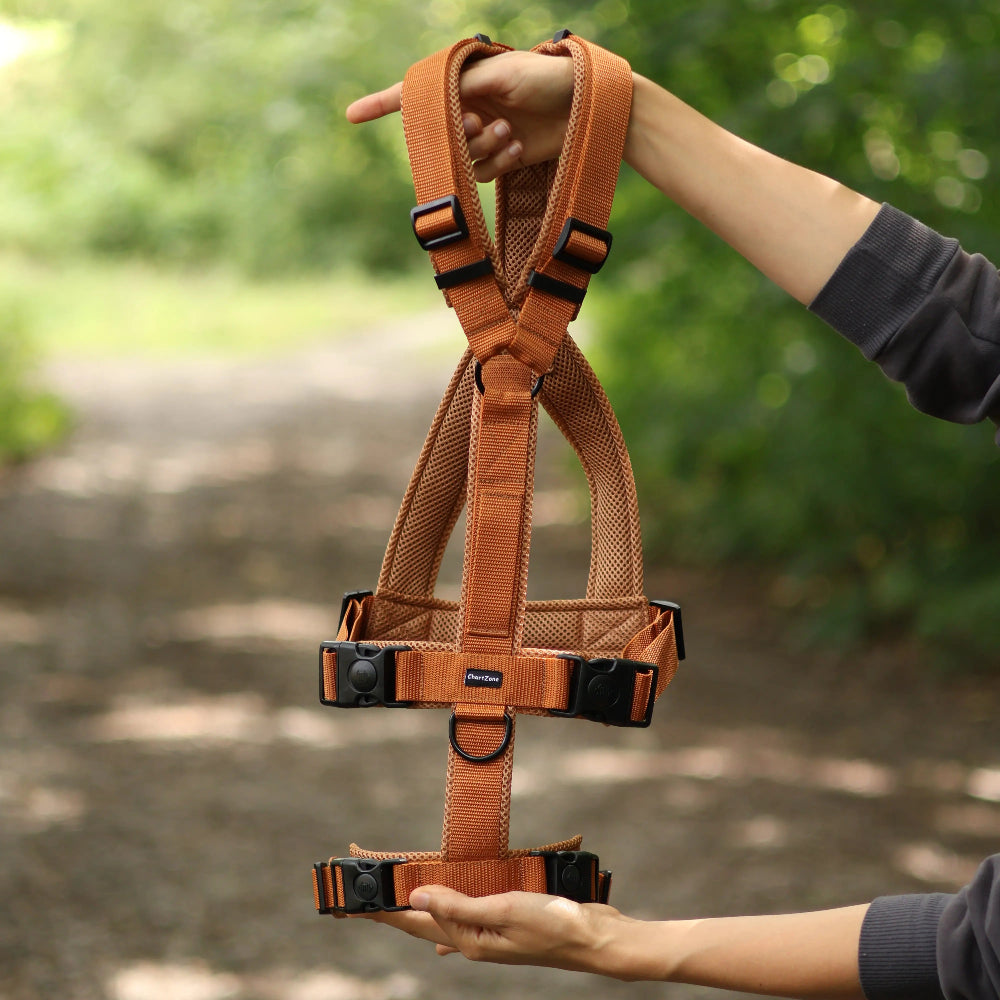 Antyucieczkowe szelki dla charta i psów o głębokiej klatce piersiowej w kształcie litery Y, anatomiczne, Comfort Mesh, z dodatkowym zabezpieczeniem przed wyswobodzeniem się, podszycie z siatki dystansowej, kolor Toffi