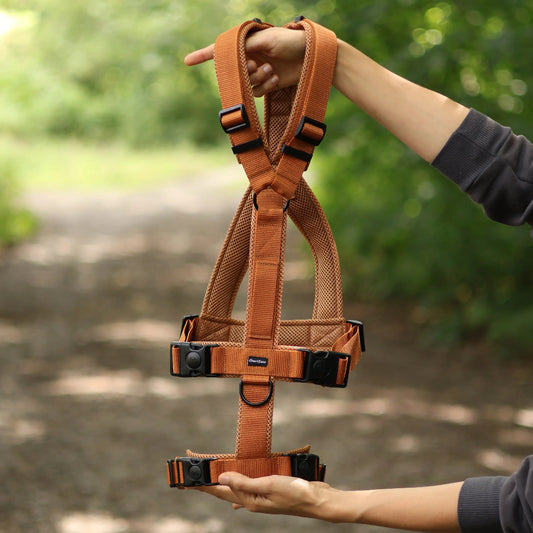 Antyucieczkowe szelki dla charta i psów o głębokiej klatce piersiowej w kształcie litery Y, anatomiczne, Comfort Mesh, z dodatkowym zabezpieczeniem przed wyswobodzeniem się, podszycie z siatki dystansowej, kolor Toffi