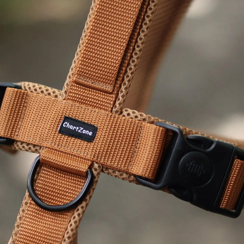 Antyucieczkowe szelki dla charta i psów o głębokiej klatce piersiowej w kształcie litery Y, anatomiczne, Comfort Mesh, z dodatkowym zabezpieczeniem przed wyswobodzeniem się, podszycie z siatki dystansowej, kolor Toffi