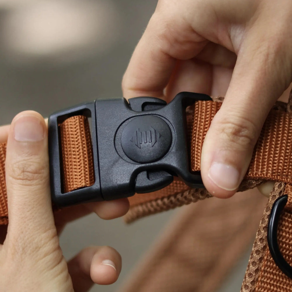 Antyucieczkowe szelki dla charta i psów o głębokiej klatce piersiowej w kształcie litery Y, anatomiczne, Comfort Mesh, z dodatkowym zabezpieczeniem przed wyswobodzeniem się, podszycie z siatki dystansowej, kolor Toffi