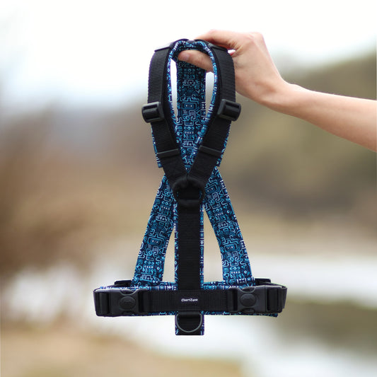 Szelki dla Charta "Mayan Maze"