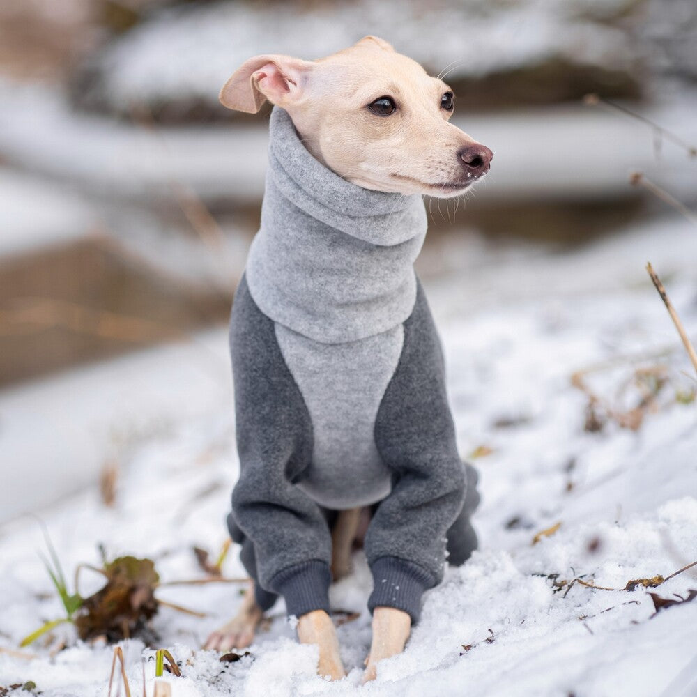 Ubranko dla charcika włoskiego | whippeta - kombinezon premium | Italian Greyhounds clothes  | oblečenie pre talianskeho chrtíka | oblečení pro italského chrtíka