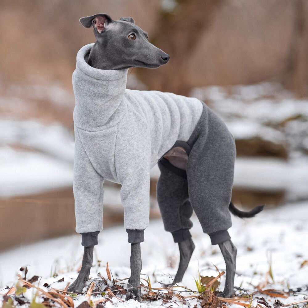 Ubranko dla charcika włoskiego | whippeta - kombinezon premium | Italian Greyhounds clothes  | oblečenie pre talianskeho chrtíka | oblečení pro italského chrtíka