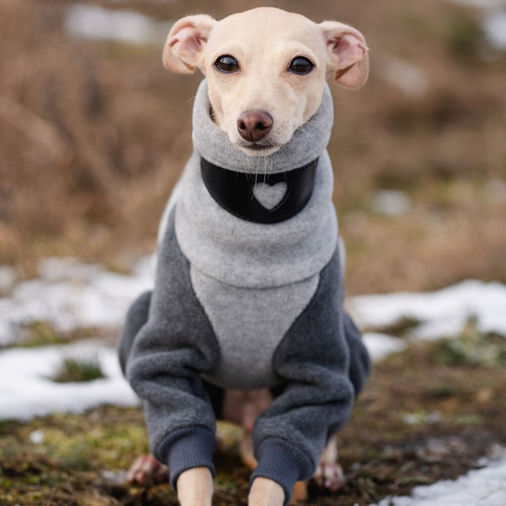 Ubranko dla charcika włoskiego | whippeta - kombinezon premium | Italian Greyhounds clothes  | oblečenie pre talianskeho chrtíka | oblečení pro italského chrtíka